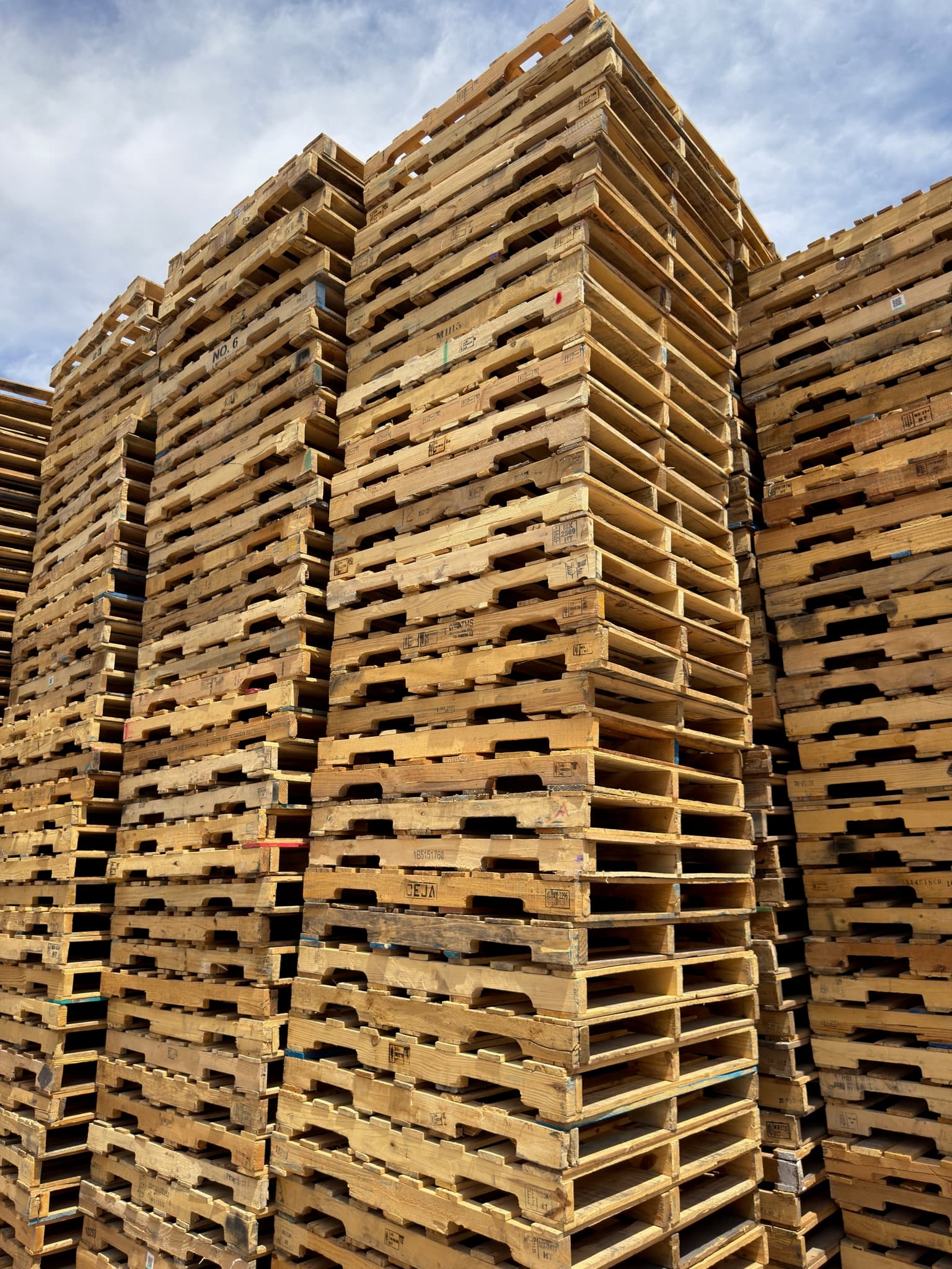Tarima de Barrote con Resaque